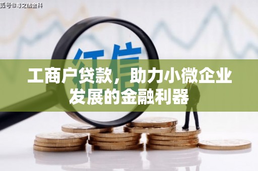 郸城工商户贷款，助力小微企业发展的金融利器