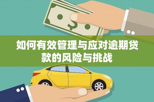 郸城如何有效管理与应对逾期贷款的风险与挑战