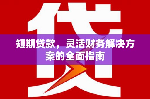郸城短期贷款，灵活财务解决方案的全面指南