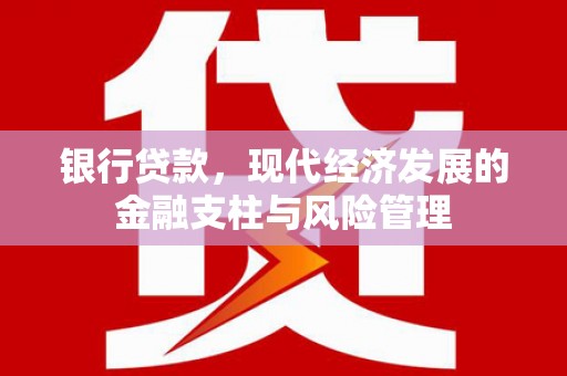 郸城银行贷款，现代经济发展的金融支柱与风险管理