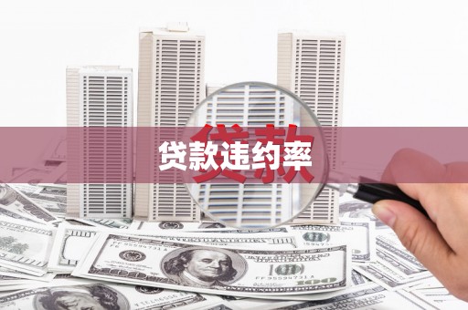 郸城贷款违约率