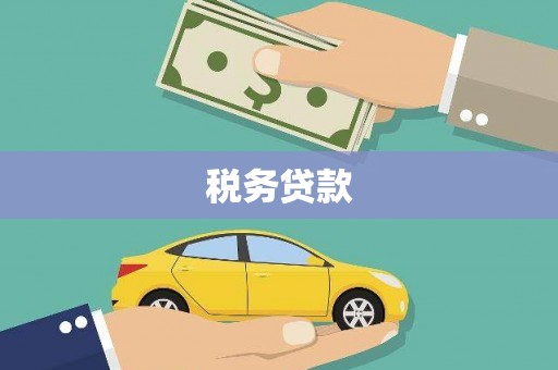 郸城税务贷款
