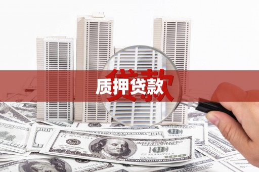 郸城质押贷款