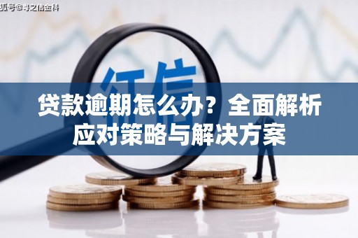 郸城贷款逾期怎么办？全面解析应对策略与解决方案