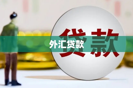 郸城外汇贷款