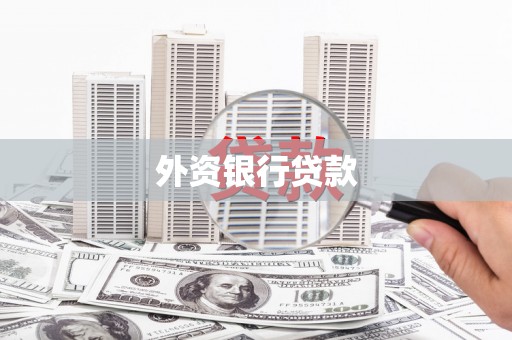 郸城外资银行贷款