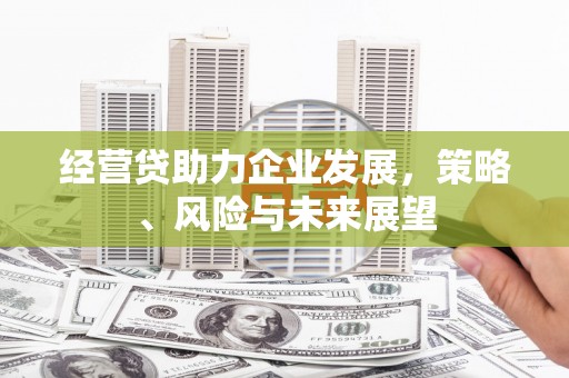 郸城经营贷助力企业发展，策略、风险与未来展望