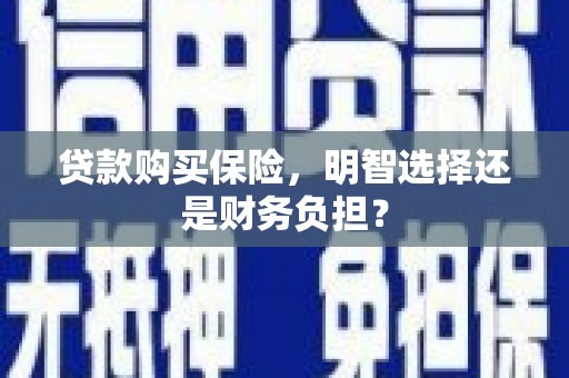 郸城贷款购买保险，明智选择还是财务负担？