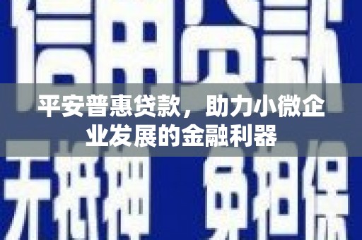 郸城平安普惠贷款，助力小微企业发展的金融利器