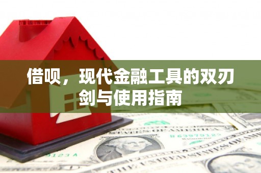 郸城借呗，现代金融工具的双刃剑与使用指南