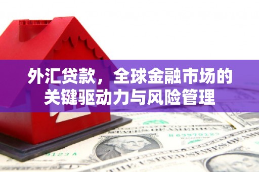 郸城外汇贷款，全球金融市场的关键驱动力与风险管理