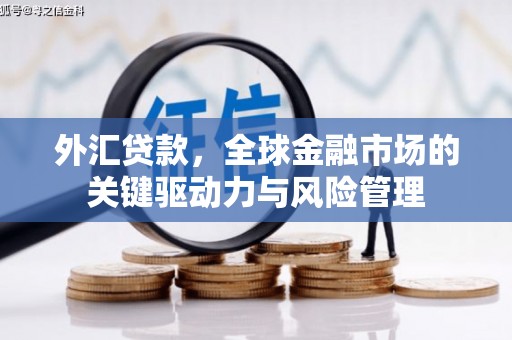 郸城外汇贷款，全球金融市场的关键驱动力与风险管理