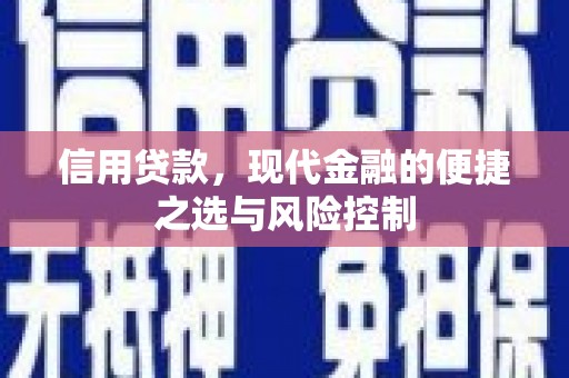 郸城信用贷款，现代金融的便捷之选与风险控制