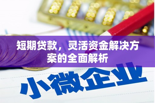郸城短期贷款，灵活资金解决方案的全面解析