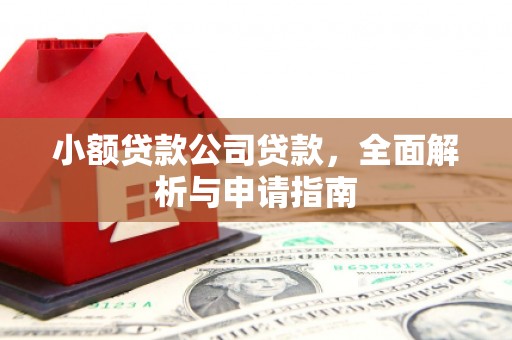 郸城小额贷款公司贷款，全面解析与申请指南