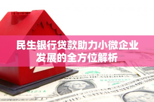 郸城民生银行贷款助力小微企业发展的全方位解析