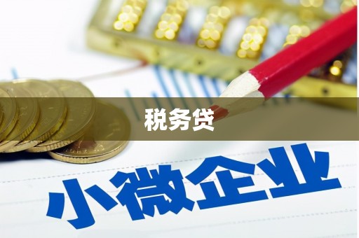 郸城税务贷