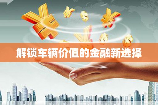 郸城解锁车辆价值的金融新选择