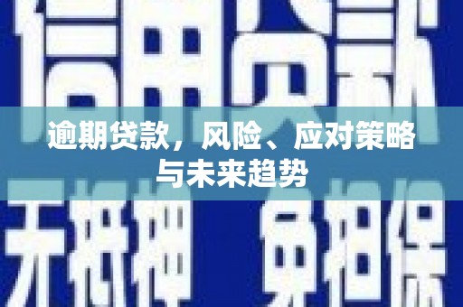 郸城逾期贷款，风险、应对策略与未来趋势