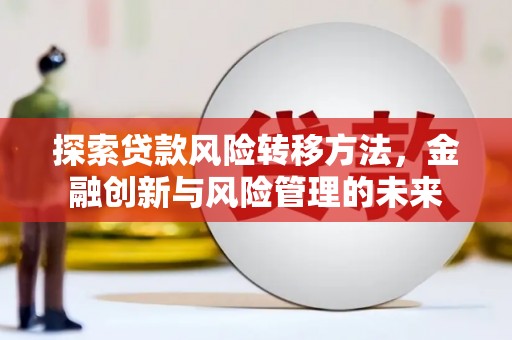 郸城探索贷款风险转移方法，金融创新与风险管理的未来