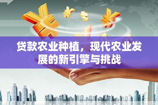 郸城贷款农业种植，现代农业发展的新引擎与挑战