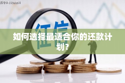 郸城如何选择最适合你的还款计划？