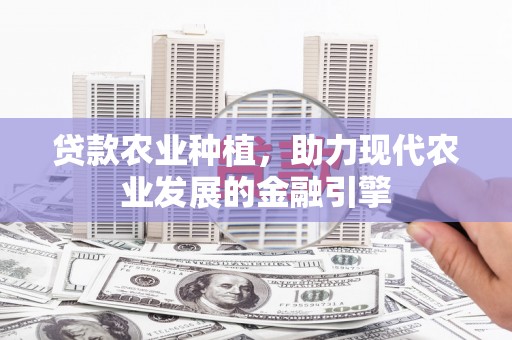 郸城贷款农业种植，助力现代农业发展的金融引擎