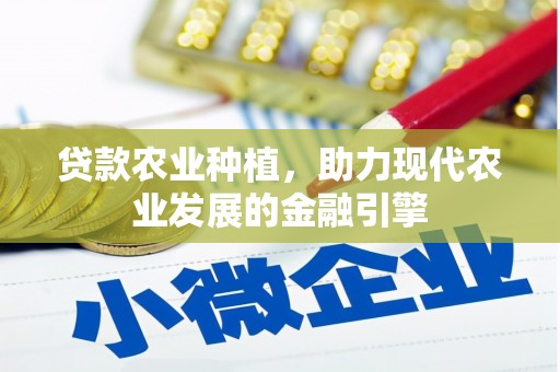 郸城贷款农业种植，助力现代农业发展的金融引擎