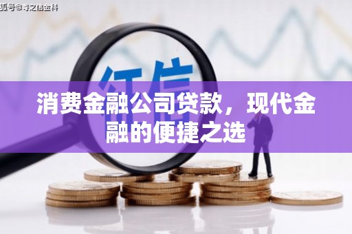 郸城消费金融公司贷款，现代金融的便捷之选