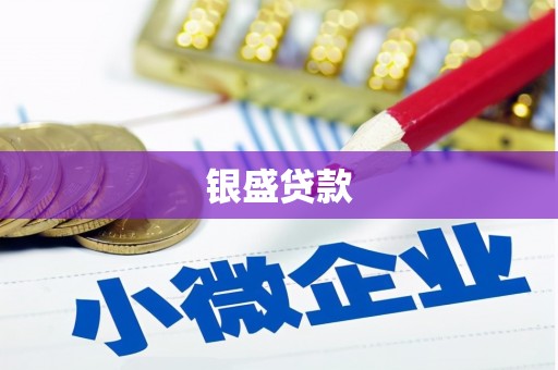 郸城银盛贷款