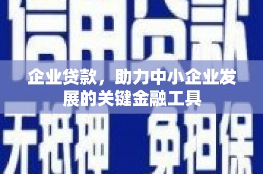 郸城企业贷款，助力中小企业发展的关键金融工具