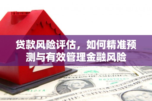 郸城贷款风险评估，如何精准预测与有效管理金融风险