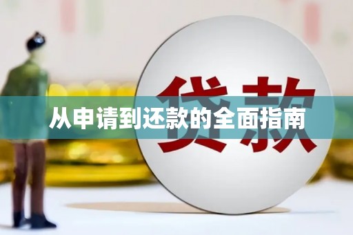 郸城从申请到还款的全面指南