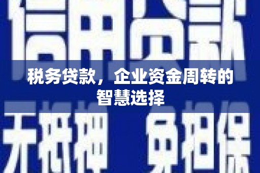 郸城税务贷款，企业资金周转的智慧选择