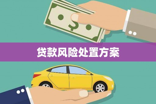 郸城贷款风险处置方案
