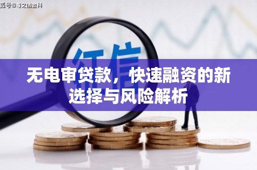 郸城无电审贷款，快速融资的新选择与风险解析
