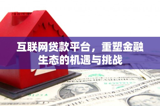 郸城互联网贷款平台，重塑金融生态的机遇与挑战