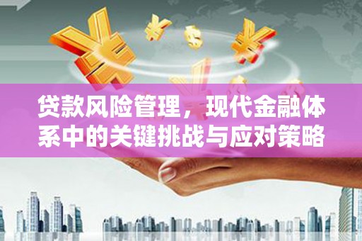 郸城贷款风险管理，现代金融体系中的关键挑战与应对策略