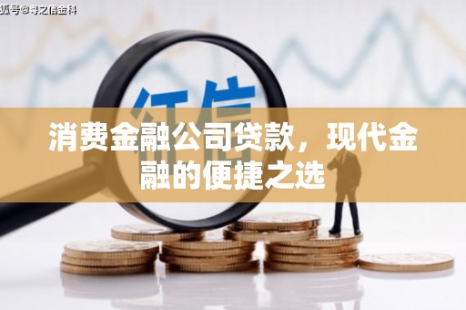 郸城消费金融公司贷款，现代金融的便捷之选