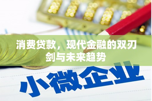 郸城消费贷款，现代金融的双刃剑与未来趋势