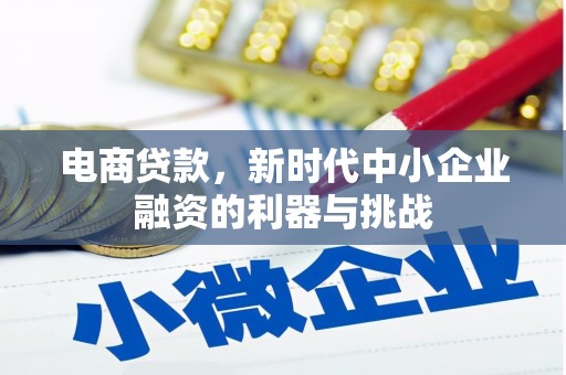 郸城电商贷款，新时代中小企业融资的利器与挑战