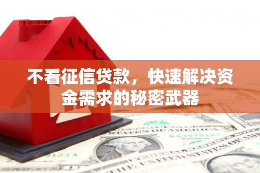 郸城不看征信贷款，快速解决资金需求的秘密武器