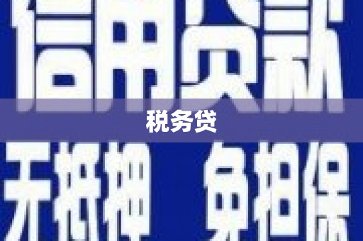 郸城税务贷