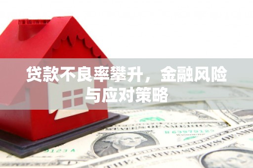 郸城贷款不良率攀升，金融风险与应对策略