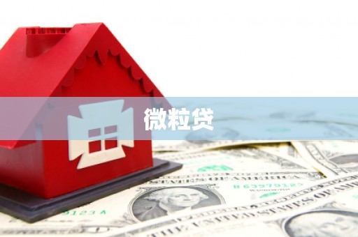 郸城微粒贷