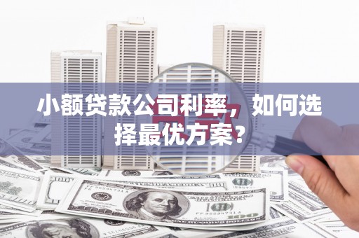 郸城小额贷款公司利率，如何选择最优方案？