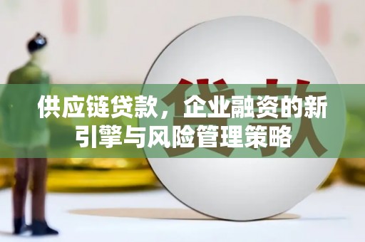 郸城供应链贷款，企业融资的新引擎与风险管理策略