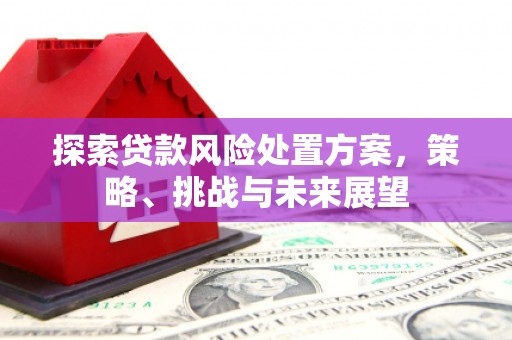 郸城探索贷款风险处置方案，策略、挑战与未来展望