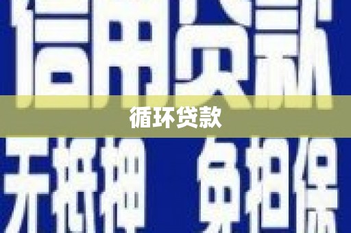 郸城循环贷款