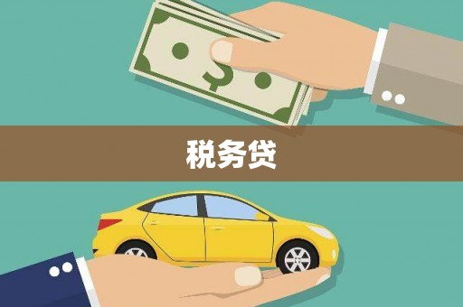 郸城税务贷